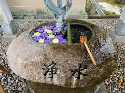妙福寺の{uncategorized: "未分類", other: "その他", undefined: "問題あり", building: "その他建物", grave: "お墓", sacred_gate: "鳥居", guardian: "狛犬", statue: "像", buddha: "仏像", history: "歴史", nature: "自然", garden: "庭園", animal: "動物", pagoda: "塔", temizu: "手水舎", mountain_gate: "山門・神門", sanctuary: "本殿・本堂", subordinate: "末社・摂社", art: "芸術", scenery: "景色", jizo: "地蔵", ema: "絵馬", goshuin: "御朱印", omikuji: "おみくじ", items: "授与品その他", amulet: "お守り", goshuincho: "御朱印帳", eats: "食事", festival: "お祭り", votive_dance: "神楽", shichigosan: "七五三参", wedding: "結婚式", experience: "体験その他", initially: "初詣", around: "周辺", anti_infection: "感染症対策"}
