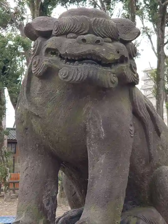 飯香岡八幡宮の狛犬