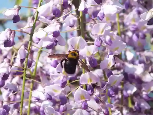 三大神社のその他建物