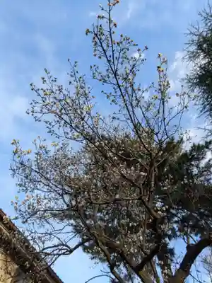 田端神社(東京都)
