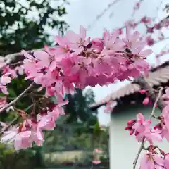 豊景神社の自然