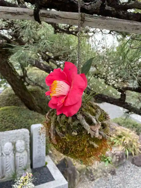 多聞寺(兵庫県)