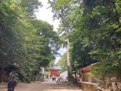 鹿島神宮(茨城県)