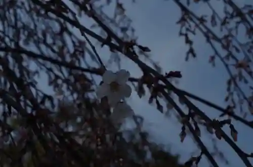 敷地神社（わら天神宮）(京都府)