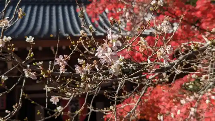 赤山禅院(京都府)