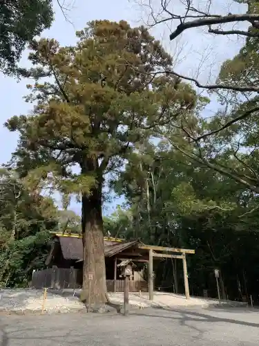 月夜見宮（豊受大神宮別宮）の{uncategorized: "未分類", other: "その他", undefined: "問題あり", building: "その他建物", grave: "お墓", sacred_gate: "鳥居", guardian: "狛犬", statue: "像", buddha: "仏像", history: "歴史", nature: "自然", garden: "庭園", animal: "動物", pagoda: "塔", temizu: "手水舎", mountain_gate: "山門・神門", sanctuary: "本殿・本堂", subordinate: "末社・摂社", art: "芸術", scenery: "景色", jizo: "地蔵", ema: "絵馬", goshuin: "御朱印", omikuji: "おみくじ", items: "授与品その他", amulet: "お守り", goshuincho: "御朱印帳", eats: "食事", festival: "お祭り", votive_dance: "神楽", shichigosan: "七五三参", wedding: "結婚式", experience: "体験その他", initially: "初詣", around: "周辺", anti_infection: "感染症対策"}