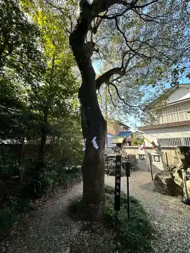 玉三稲荷神社の{uncategorized: "未分類", other: "その他", undefined: "問題あり", building: "その他建物", grave: "お墓", sacred_gate: "鳥居", guardian: "狛犬", statue: "像", buddha: "仏像", history: "歴史", nature: "自然", garden: "庭園", animal: "動物", pagoda: "塔", temizu: "手水舎", mountain_gate: "山門・神門", sanctuary: "本殿・本堂", subordinate: "末社・摂社", art: "芸術", scenery: "景色", jizo: "地蔵", ema: "絵馬", goshuin: "御朱印", omikuji: "おみくじ", items: "授与品その他", amulet: "お守り", goshuincho: "御朱印帳", eats: "食事", festival: "お祭り", votive_dance: "神楽", shichigosan: "七五三参", wedding: "結婚式", experience: "体験その他", initially: "初詣", around: "周辺", anti_infection: "感染症対策"}
