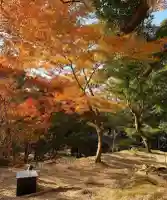 宝満宮竈門神社(福岡県)