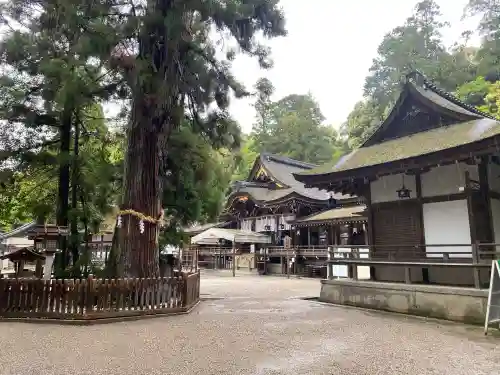 大神神社の{uncategorized: "未分類", other: "その他", undefined: "問題あり", building: "その他建物", grave: "お墓", sacred_gate: "鳥居", guardian: "狛犬", statue: "像", buddha: "仏像", history: "歴史", nature: "自然", garden: "庭園", animal: "動物", pagoda: "塔", temizu: "手水舎", mountain_gate: "山門・神門", sanctuary: "本殿・本堂", subordinate: "末社・摂社", art: "芸術", scenery: "景色", jizo: "地蔵", ema: "絵馬", goshuin: "御朱印", omikuji: "おみくじ", items: "授与品その他", amulet: "お守り", goshuincho: "御朱印帳", eats: "食事", festival: "お祭り", votive_dance: "神楽", shichigosan: "七五三参", wedding: "結婚式", experience: "体験その他", initially: "初詣", around: "周辺", anti_infection: "感染症対策"}