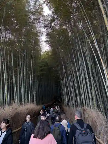 野宮神社(京都府)