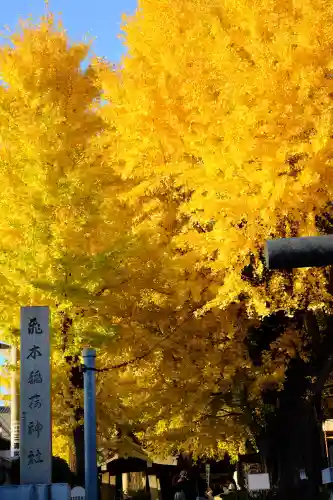 飛木稲荷神社(東京都)