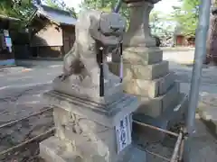 賀露神社の狛犬