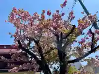 満福寺(福島県)