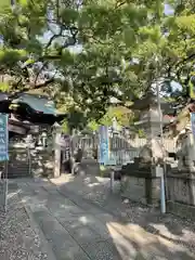 津田八幡神社の建物その他