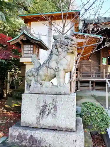 小岩神社の狛犬