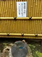 気象神社の{uncategorized: "未分類", other: "その他", undefined: "問題あり", building: "その他建物", grave: "お墓", sacred_gate: "鳥居", guardian: "狛犬", statue: "像", buddha: "仏像", history: "歴史", nature: "自然", garden: "庭園", animal: "動物", pagoda: "塔", temizu: "手水舎", mountain_gate: "山門・神門", sanctuary: "本殿・本堂", subordinate: "末社・摂社", art: "芸術", scenery: "景色", jizo: "地蔵", ema: "絵馬", goshuin: "御朱印", omikuji: "おみくじ", items: "授与品その他", amulet: "お守り", goshuincho: "御朱印帳", eats: "食事", festival: "お祭り", votive_dance: "神楽", shichigosan: "七五三参", wedding: "結婚式", experience: "体験その他", initially: "初詣", around: "周辺", anti_infection: "感染症対策"}