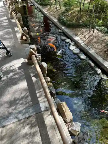 秩父神社(埼玉県)