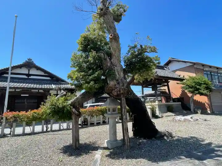 勝鳥神社(滋賀県)