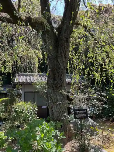 萬祥山常福寺(愛知県)