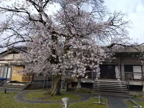 妙経寺(福井県)