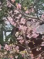 生田神社の{uncategorized: "未分類", other: "その他", undefined: "問題あり", building: "その他建物", grave: "お墓", sacred_gate: "鳥居", guardian: "狛犬", statue: "像", buddha: "仏像", history: "歴史", nature: "自然", garden: "庭園", animal: "動物", pagoda: "塔", temizu: "手水舎", mountain_gate: "山門・神門", sanctuary: "本殿・本堂", subordinate: "末社・摂社", art: "芸術", scenery: "景色", jizo: "地蔵", ema: "絵馬", goshuin: "御朱印", omikuji: "おみくじ", items: "授与品その他", amulet: "お守り", goshuincho: "御朱印帳", eats: "食事", festival: "お祭り", votive_dance: "神楽", shichigosan: "七五三参", wedding: "結婚式", experience: "体験その他", initially: "初詣", around: "周辺", anti_infection: "感染症対策"}