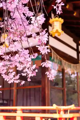 北野天満宮(京都府)