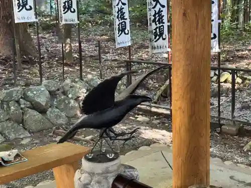 熊野本宮大社(和歌山県)