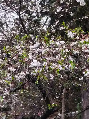 鹿島大神宮(福島県)