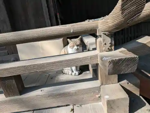 阿邪訶根神社の{uncategorized: "未分類", other: "その他", undefined: "問題あり", building: "その他建物", grave: "お墓", sacred_gate: "鳥居", guardian: "狛犬", statue: "像", buddha: "仏像", history: "歴史", nature: "自然", garden: "庭園", animal: "動物", pagoda: "塔", temizu: "手水舎", mountain_gate: "山門・神門", sanctuary: "本殿・本堂", subordinate: "末社・摂社", art: "芸術", scenery: "景色", jizo: "地蔵", ema: "絵馬", goshuin: "御朱印", omikuji: "おみくじ", items: "授与品その他", amulet: "お守り", goshuincho: "御朱印帳", eats: "食事", festival: "お祭り", votive_dance: "神楽", shichigosan: "七五三参", wedding: "結婚式", experience: "体験その他", initially: "初詣", around: "周辺", anti_infection: "感染症対策"}