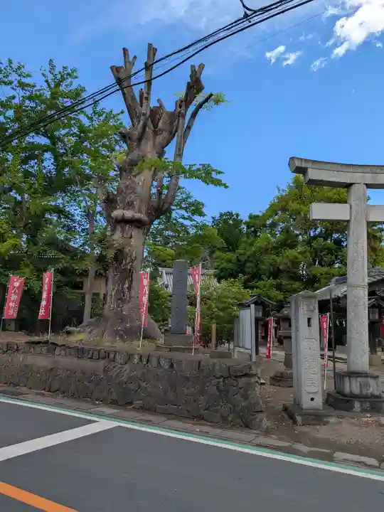 東石清水八幡神社(埼玉県)