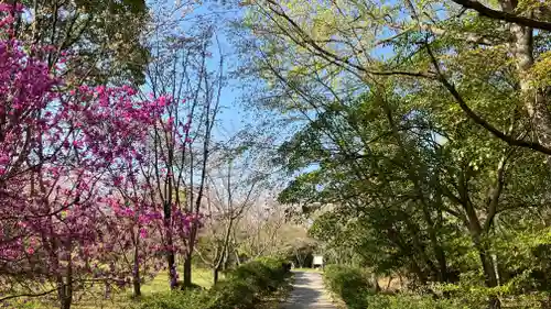 吉備津岡辛木神社(岡山県)