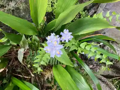 成田山七島不動尊の{uncategorized: "未分類", other: "その他", undefined: "問題あり", building: "その他建物", grave: "お墓", sacred_gate: "鳥居", guardian: "狛犬", statue: "像", buddha: "仏像", history: "歴史", nature: "自然", garden: "庭園", animal: "動物", pagoda: "塔", temizu: "手水舎", mountain_gate: "山門・神門", sanctuary: "本殿・本堂", subordinate: "末社・摂社", art: "芸術", scenery: "景色", jizo: "地蔵", ema: "絵馬", goshuin: "御朱印", omikuji: "おみくじ", items: "授与品その他", amulet: "お守り", goshuincho: "御朱印帳", eats: "食事", festival: "お祭り", votive_dance: "神楽", shichigosan: "七五三参", wedding: "結婚式", experience: "体験その他", initially: "初詣", around: "周辺", anti_infection: "感染症対策"}