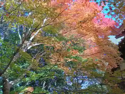 龍尾寺(大阪府)