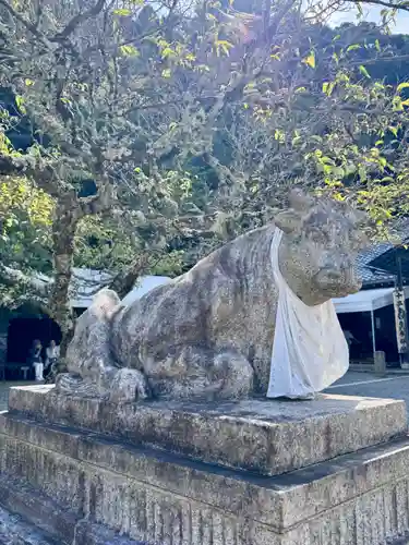 法輪寺(京都府)