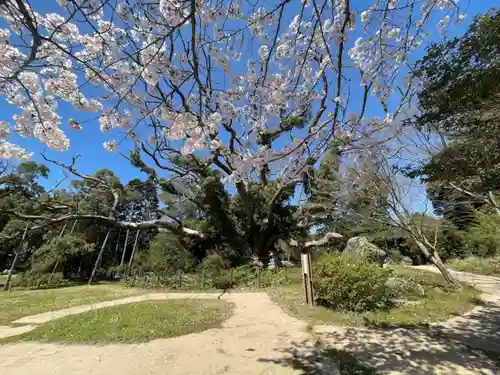 クスの森若宮神社の自然