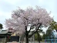 健田須賀神社の自然