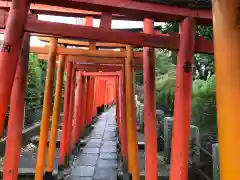 根津神社の鳥居