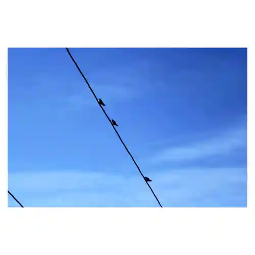 岐阜稲荷山本社(岐阜県)