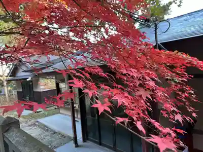 湯泉神社(兵庫県)