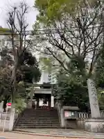 金王八幡宮の鳥居