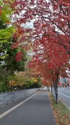 新琴似神社の周辺
