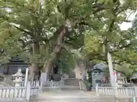 岡上神社(徳島県)