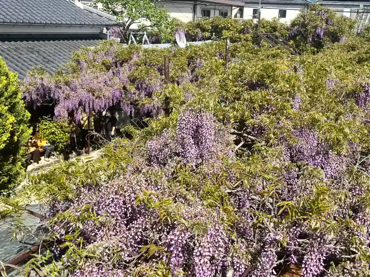 市場稲荷神社(大阪府)