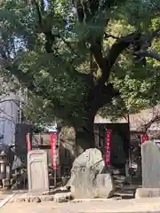 葛井寺の建物その他