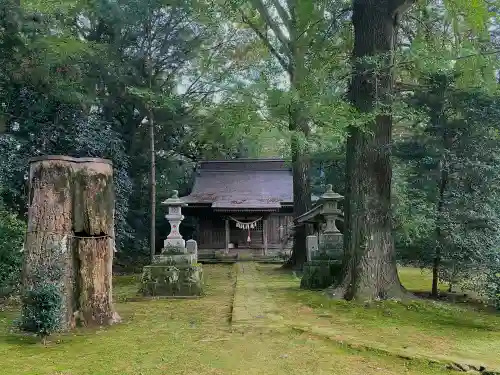 子安神社の本殿・本堂