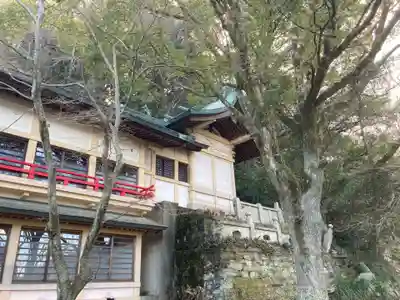 金刀比羅神社(徳島県)