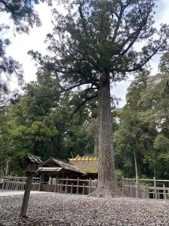 瀧原宮(皇大神宮別宮)(三重県)