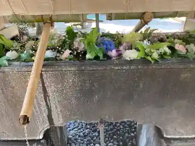 鳩森八幡神社の手水舎