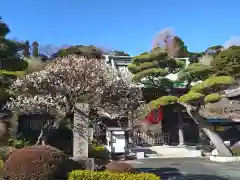 長谷寺(神奈川県)