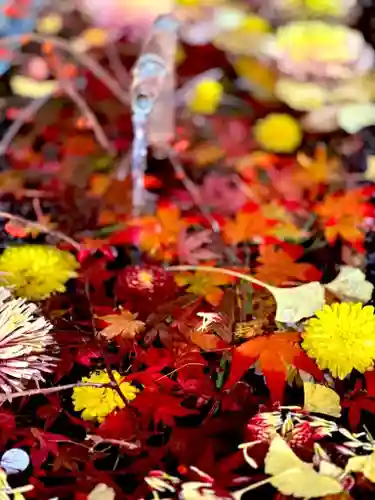 熊野大社(山形県)